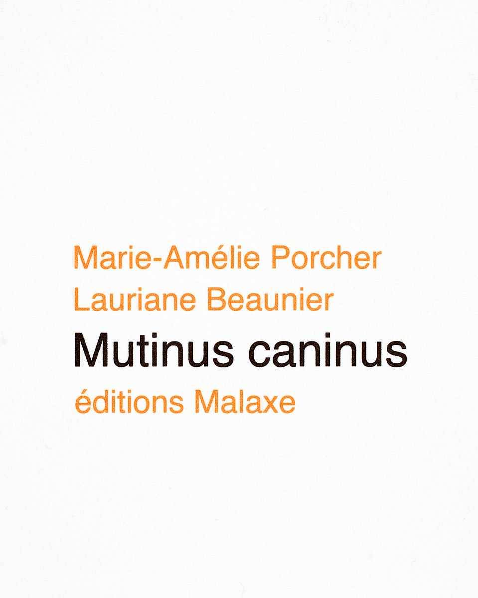 Mutinus caninus